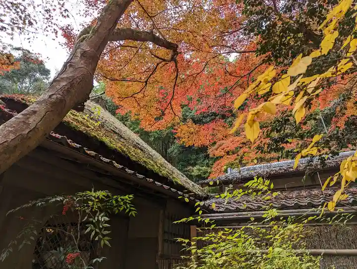 祇王寺のその他建物