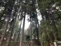 大宮温泉神社の自然