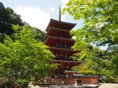 長谷寺の塔