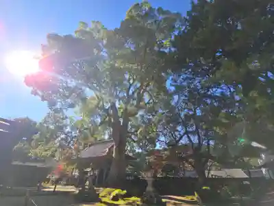 大乗寺(兵庫県)