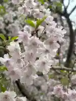 足立山妙見宮(御祖神社)の{uncategorized: "未分類", other: "その他", undefined: "問題あり", building: "その他建物", grave: "お墓", sacred_gate: "鳥居", guardian: "狛犬", statue: "像", buddha: "仏像", history: "歴史", nature: "自然", garden: "庭園", animal: "動物", pagoda: "塔", temizu: "手水舎", mountain_gate: "山門・神門", sanctuary: "本殿・本堂", subordinate: "末社・摂社", art: "芸術", scenery: "景色", jizo: "地蔵", ema: "絵馬", goshuin: "御朱印", omikuji: "おみくじ", items: "授与品その他", amulet: "お守り", goshuincho: "御朱印帳", eats: "食事", festival: "お祭り", votive_dance: "神楽", shichigosan: "七五三参", wedding: "結婚式", experience: "体験その他", initially: "初詣", around: "周辺", anti_infection: "感染症対策"}