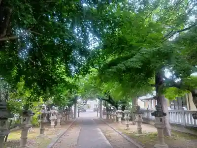 春日神社の{uncategorized: "未分類", other: "その他", undefined: "問題あり", building: "その他建物", grave: "お墓", sacred_gate: "鳥居", guardian: "狛犬", statue: "像", buddha: "仏像", history: "歴史", nature: "自然", garden: "庭園", animal: "動物", pagoda: "塔", temizu: "手水舎", mountain_gate: "山門・神門", sanctuary: "本殿・本堂", subordinate: "末社・摂社", art: "芸術", scenery: "景色", jizo: "地蔵", ema: "絵馬", goshuin: "御朱印", omikuji: "おみくじ", items: "授与品その他", amulet: "お守り", goshuincho: "御朱印帳", eats: "食事", festival: "お祭り", votive_dance: "神楽", shichigosan: "七五三参", wedding: "結婚式", experience: "体験その他", initially: "初詣", around: "周辺", anti_infection: "感染症対策"}
