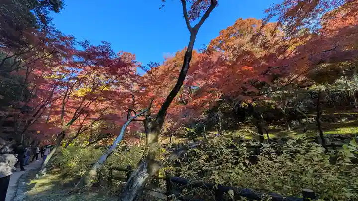 北野天満宮(京都府)