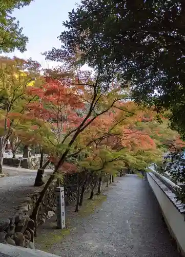 神峯山寺(大阪府)
