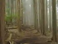 大山寺(神奈川県)