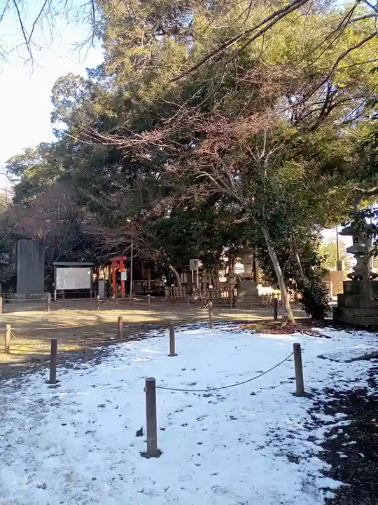 畑子安神社の自然
