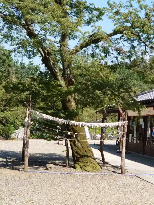 達磨寺のその他建物
