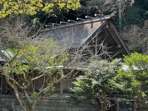 安房神社(千葉県)