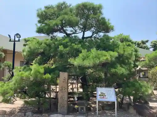 和田神社の庭園