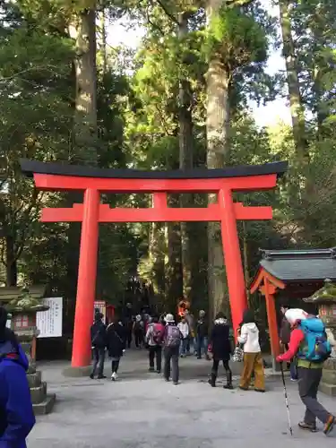 箱根神社の鳥居