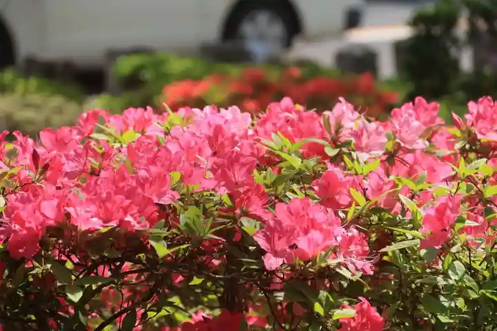 開成山大神宮の庭園