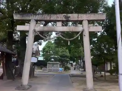 大神神社(花池)の鳥居