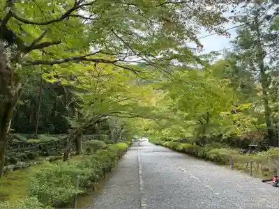 二尊院(京都府)