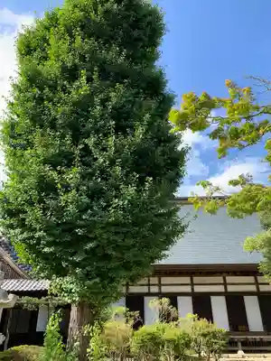 月山寺(茨城県)