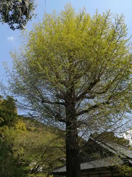 大福寺(静岡県)