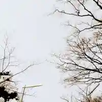 彌彦神社 (伊夜日子神社)の景色