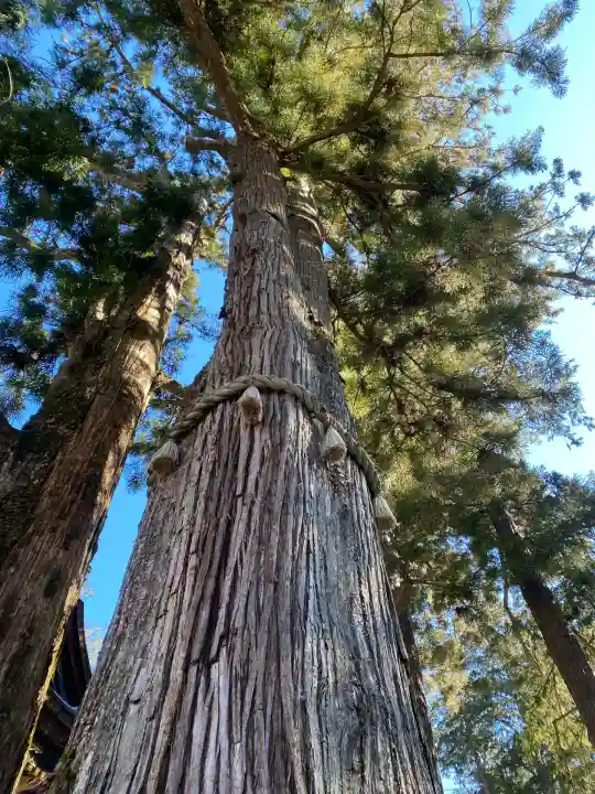 三峯神社(埼玉県)