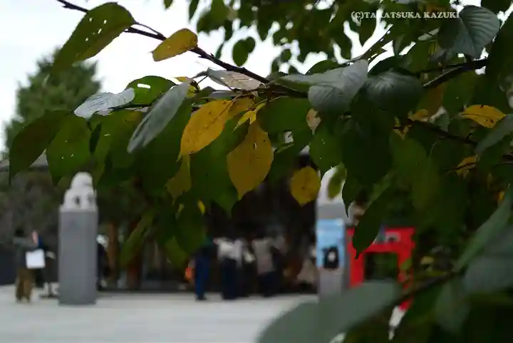 赤城神社(東京都)