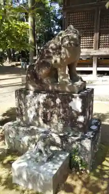川津来宮神社の狛犬