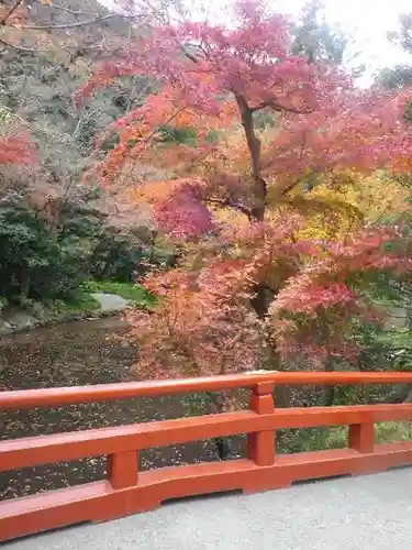 鶴岡八幡宮の庭園