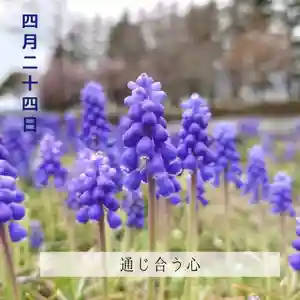 壽徳寺 じゅとくじ(福島県)(2022年04月24日(日) 08時29分19秒投稿)