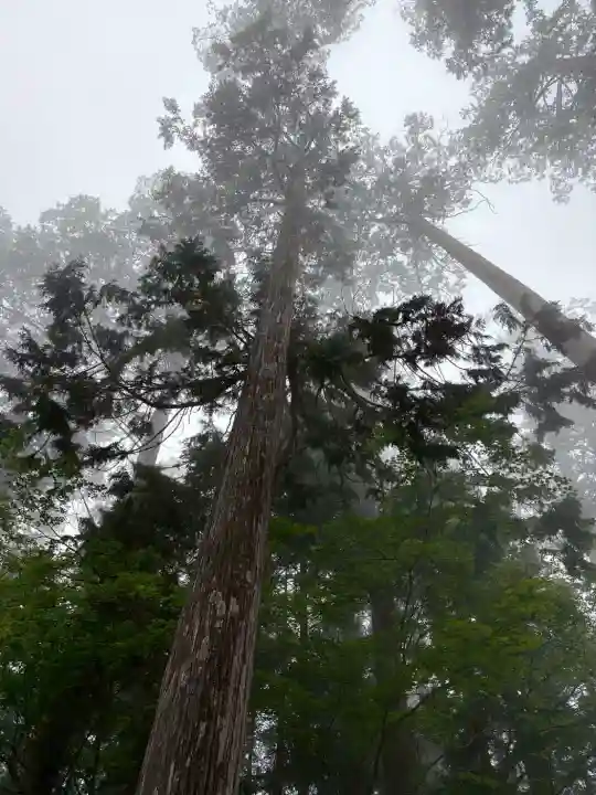 三峯神社(埼玉県)
