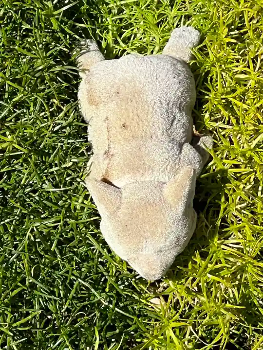 高円寺氷川神社(東京都)