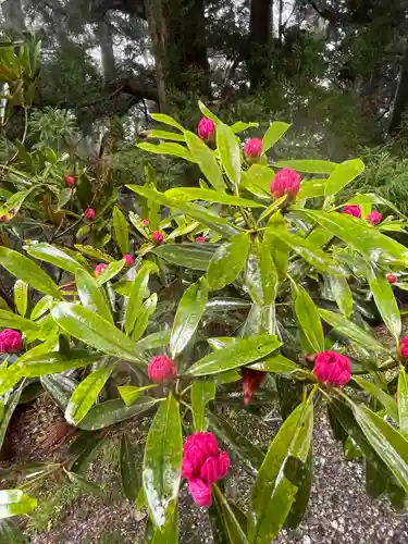 玉置神社の自然