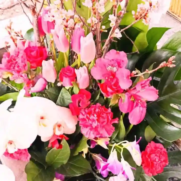 彌彦神社 (伊夜日子神社)の手水舎