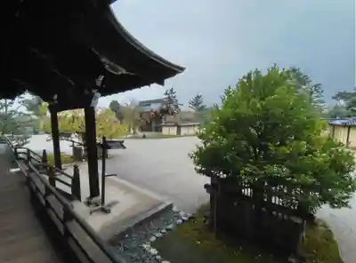 大覚寺(京都府)