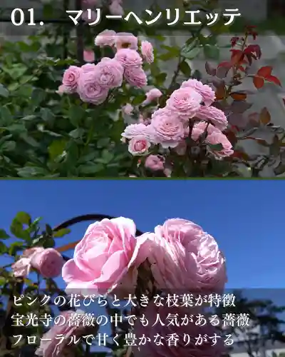 宝光寺(北海道)