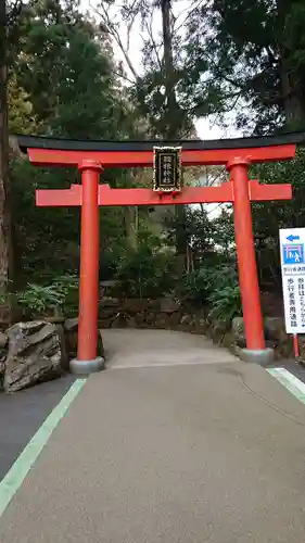 箱根神社の鳥居