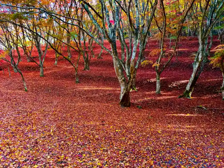 栄存神社(宮城県)