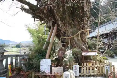 葛城一言主神社の自然