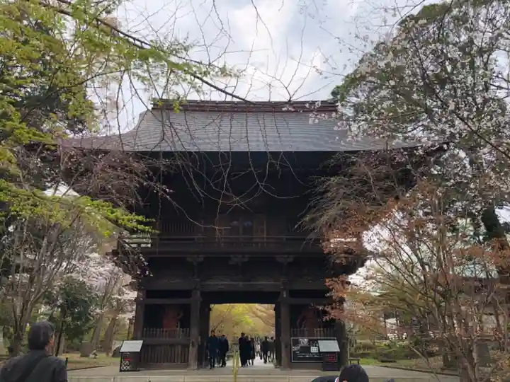 淨眞寺の山門・神門