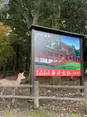 春日大社の建物その他