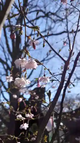 相馬神社の自然