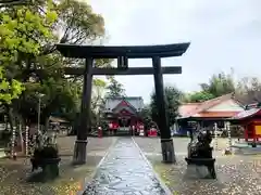 紫尾神社の鳥居