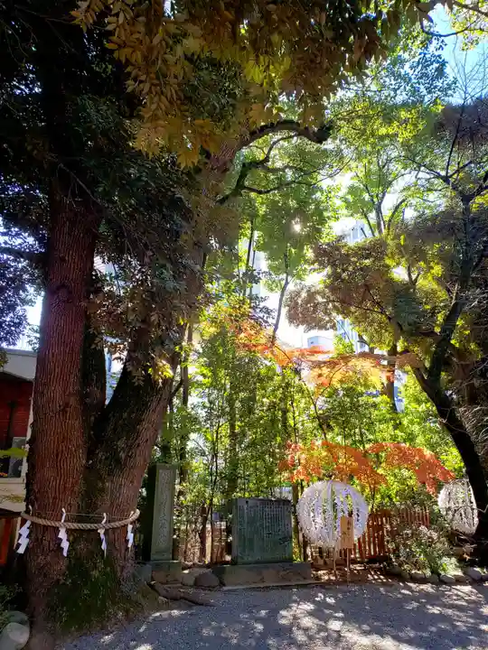 乃木神社(東京都)