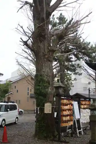 取手八坂神社のその他建物