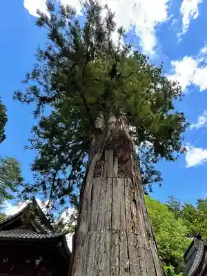 北口本宮冨士浅間神社(山梨県)