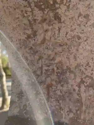 橘樹神社(千葉県)