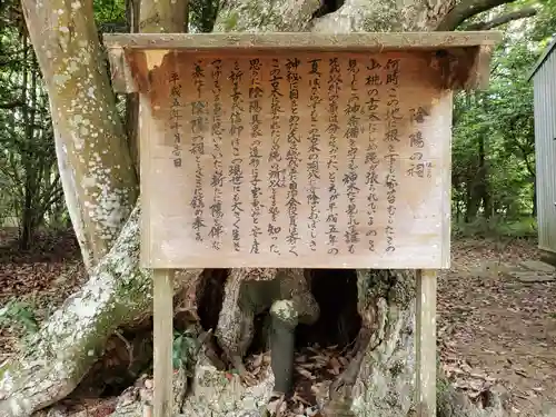 小林八幡神社の歴史