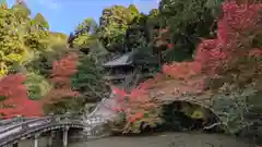 知恩院(京都府)