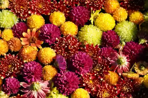 大鏑神社の手水舎