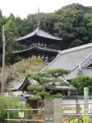 當麻寺(奈良県)