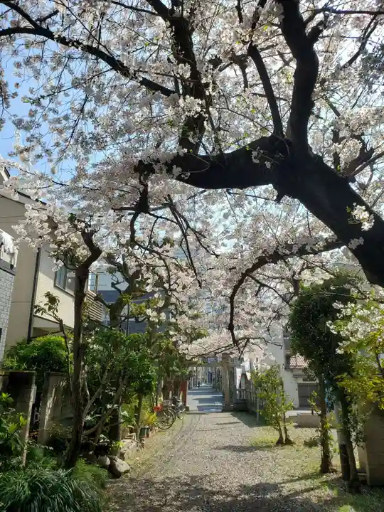 秋葉神社(東京都)