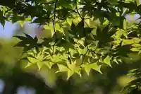 萬寿神社(柏屋本店願掛け萬寿石)(福島県)