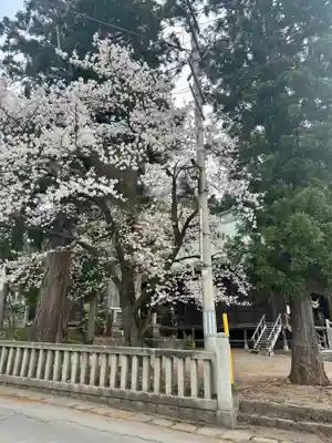 大日靈貴神社(秋田県)