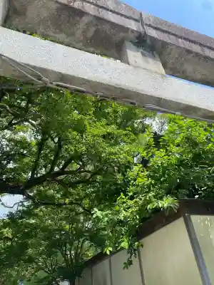 太宰府天満宮の鳥居